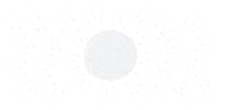 BG